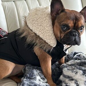 Luv gear Buy Lulu's winter coat (look at that face)